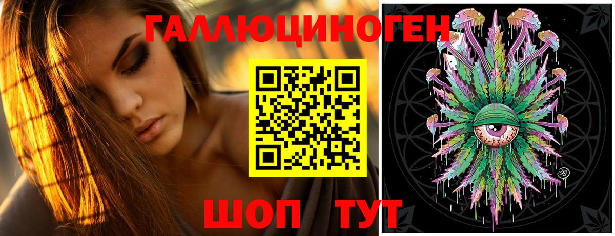 где можно купить   Псилоцибиновые грибы Magic Shrooms  Вход с VPN  Новочеркасск 